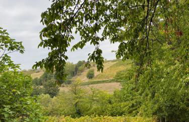 Casa intera tra le colline e le vigne del Dolcetto - Foto 51