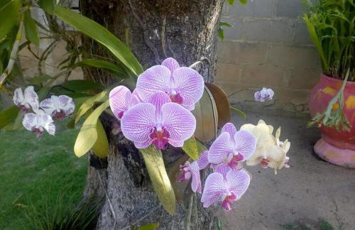 Casa com amplo quintal, churrasqueira e área verde - Foto 16