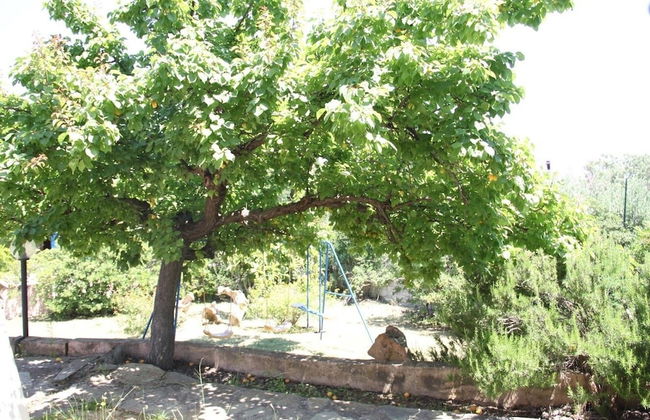 Citai Sea View House - Foto 47