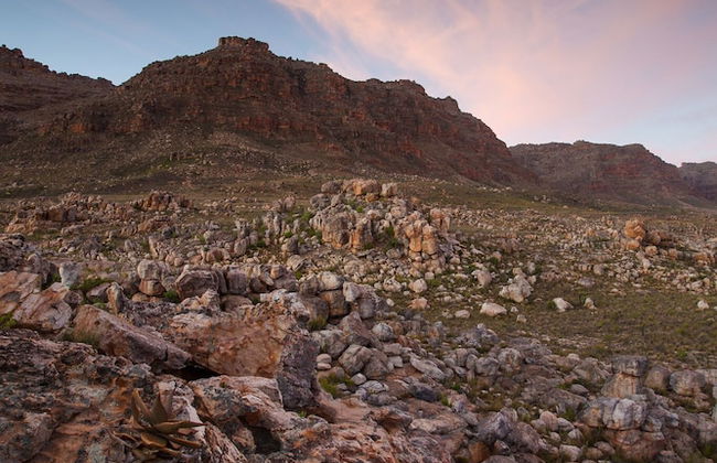 Cederberg Park - Foto 30