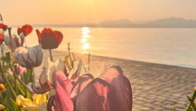 Il Girasole - Foto 5