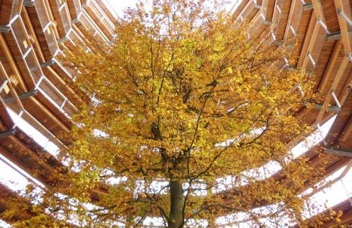 Ferienwohnung "Kranich" im Ferien-Resort Rügen - Foto 35