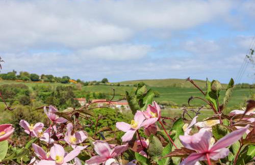 Wayside Farm Cart Cottage - Foto 27