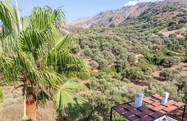 Sound Of The Mountain Chania - Foto 40