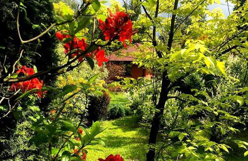 Secret Garden Residence - Photo 21