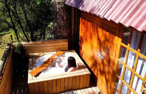 Casa na árvore com banheira, piscina, trilha, cavalo - Foto 3