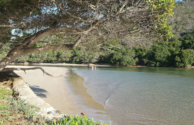 Under Milkwood Resort - Foto 56