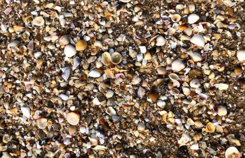 Beautiful house in the paradise of São Cristóvão RN - Foto 51