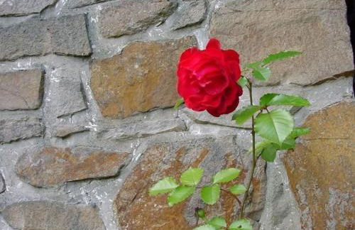 Holiday Home Ederseeblick in Bringhausen am Edersee by Interhome - Foto 22