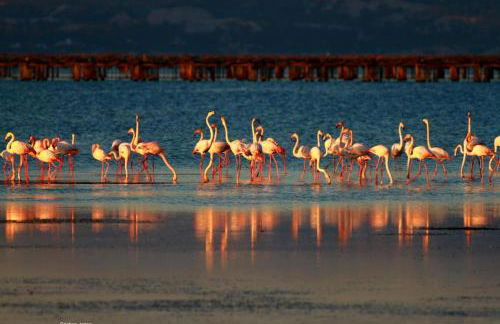 Villa voor 8 personen met zwembad - Foto 72