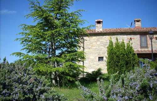 Le querce felici - Foto 17