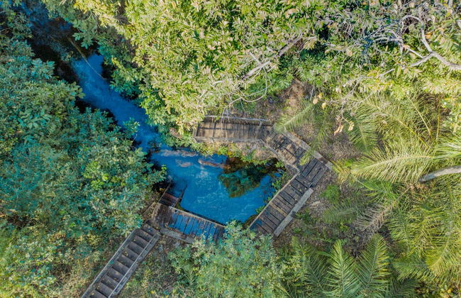 Fazenda Ceita Core Tour - Foto 2