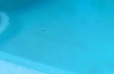 Le Rocher au Thym - Foto 1