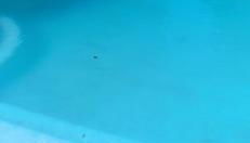 Le Rocher au Thym - Foto 1