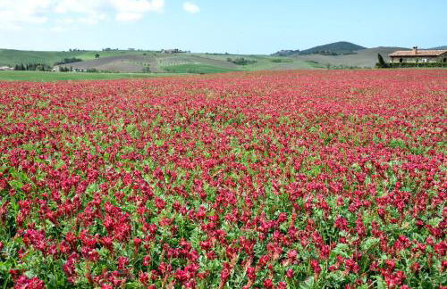 Agriturismo L'impero - Foto 20