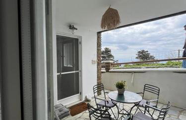 Aegean Breeze in DYO CHORIA TINOS - Foto 14