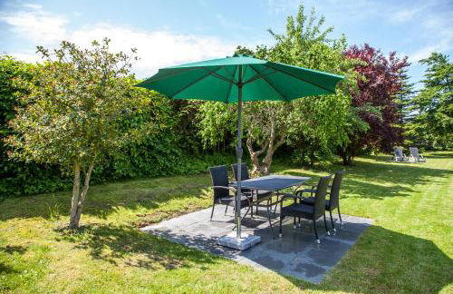 Silbermöwe - b65688 - Foto 10