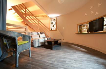 Gite Le Grand Manoir - Foto 31