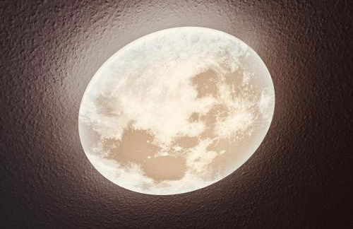 Schlosswache21 - Foto 7