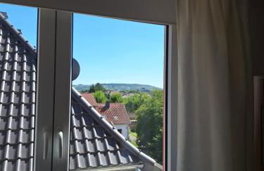 Vater Rhein - Foto 8