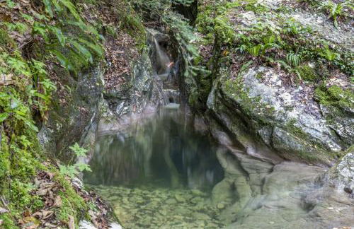 La finestra sul Lago - Foto 26