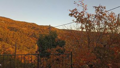 Rose Garden Cottage - Foto 2