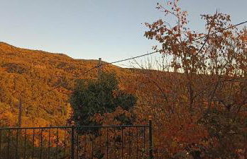 Rose Garden Cottage - Foto 2