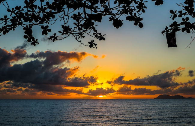 Marlin Waters - Foto 49