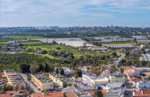 Calm Paradise close to the City - Foto 56