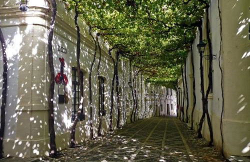 Apartamento en pleno centro de Jerez de la Frontera - Foto 17