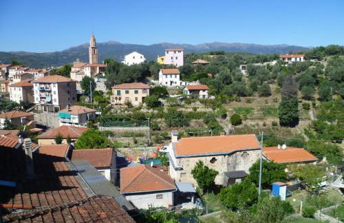 Ligurisches Rustico, umgeben von Olivenhainen am Dorfrand - Foto 9