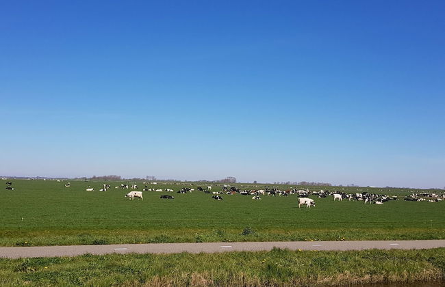 Holiday Home Tuitjenhorn Near Coast - Foto 29