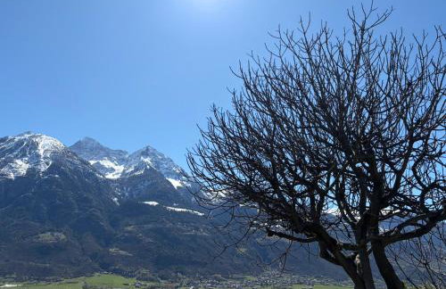 Profumo Di Legno, PaLù vacanze - Photo 6
