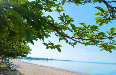 Eden Park Sozopoli - 7 BDR Beach Villa - Yard - Foto 7