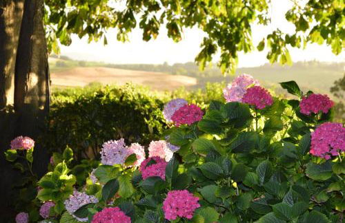 Agriturismo Cavazzone - Foto 45