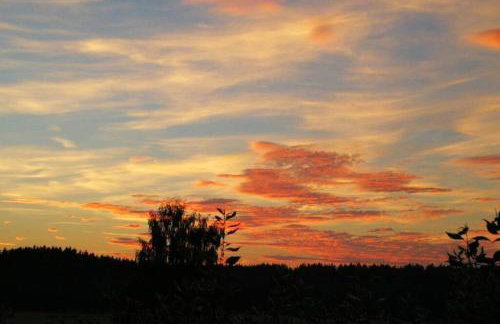 Charmantes Ferienhäuschen Birdland zwischen München und Augsburg - Foto 23