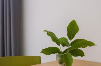 Torre Chiguita - Photo 26