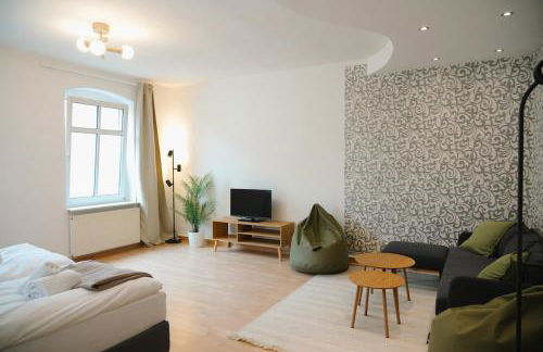 Lichtdurchflutete Altbauwohnung direkt an der Oder - Foto 7