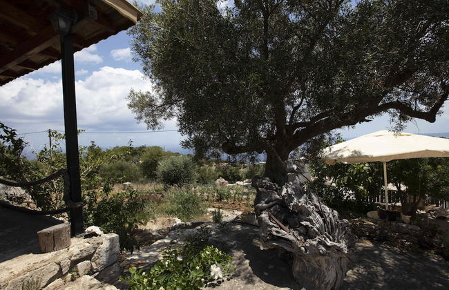 Anemos Studio - Foto 42