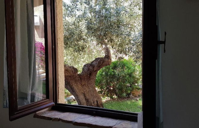 Villa Ludduì L - Foto 38