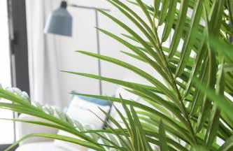 AG El Alamo - Foto 61