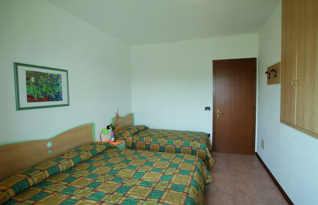 Calycanthus - Foto 18