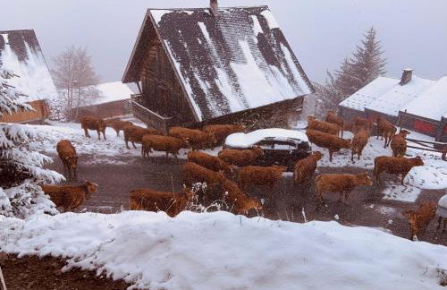 Chalet 4 pers confort 100mdespistes St Lary 4 étoiles - Foto 24