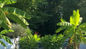 Grande villa avec piscine au portes de bayonne - Foto 2