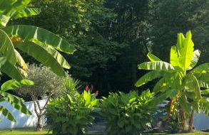 Grande villa avec piscine au portes de bayonne - Foto 2