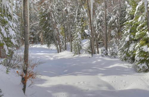 235 Verde Lane Hideaway River Cabin - Foto 38