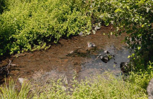 Casa Penafalcão - Foto 21