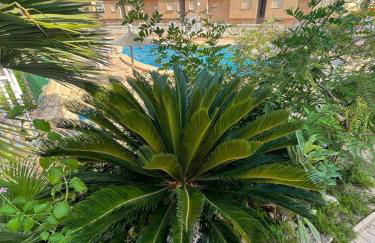 Apartament La Mata Torrevieja - Foto 17