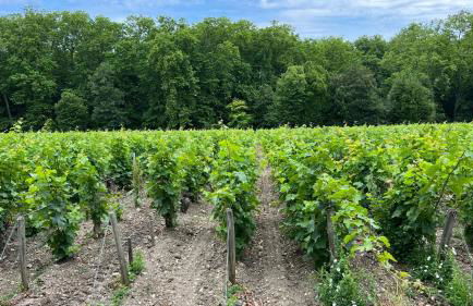 Alice’s house, Maison & Grange à 10km de l’Océan - Photo 31