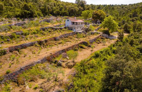 Meadow Hill - Foto 35